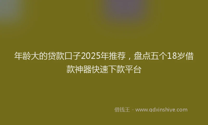 年龄大的贷款口子2025年推荐，盘点五个18岁借款神器快速下款平台