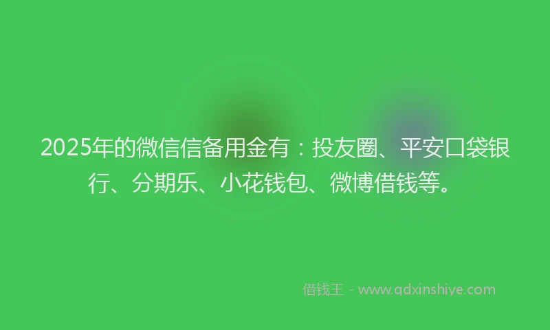 2025年的微信信备用金有：投友圈、平安口袋银行、分期乐、小花钱包、微博借钱等。