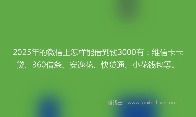 2025年的微信上怎样能借到钱3000有：维信卡卡贷、360借条、安逸花、快贷通、小花钱包等。