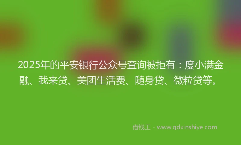 2025年的平安银行公众号查询被拒有：度小满金融、我来贷、美团生活费、随身贷、微粒贷等。