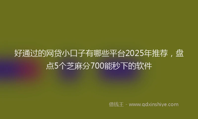 好通过的网贷小口子有哪些平台2025年推荐，盘点5个芝麻分700能秒下的软件