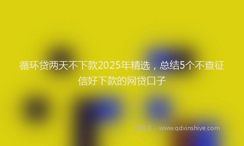 循环贷两天不下款2025年精选，总结5个不查征信好下款的网贷口子