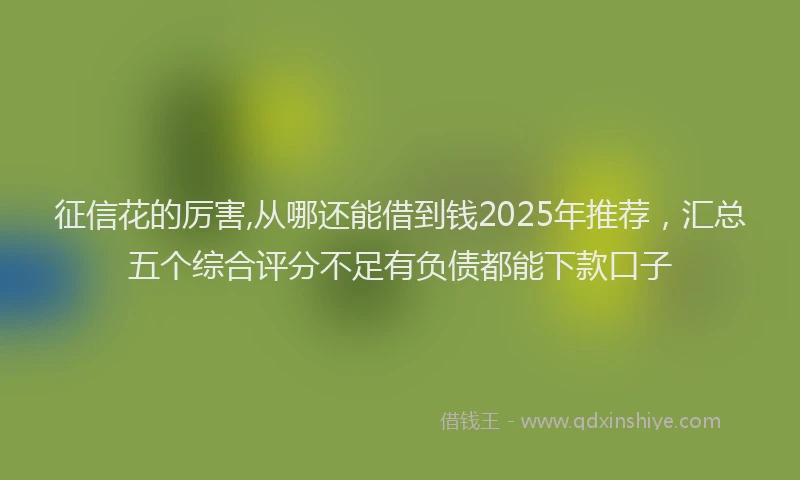 征信花的厉害,从哪还能借到钱2025年推荐，汇总五个综合评分不足有负债都能下款口子