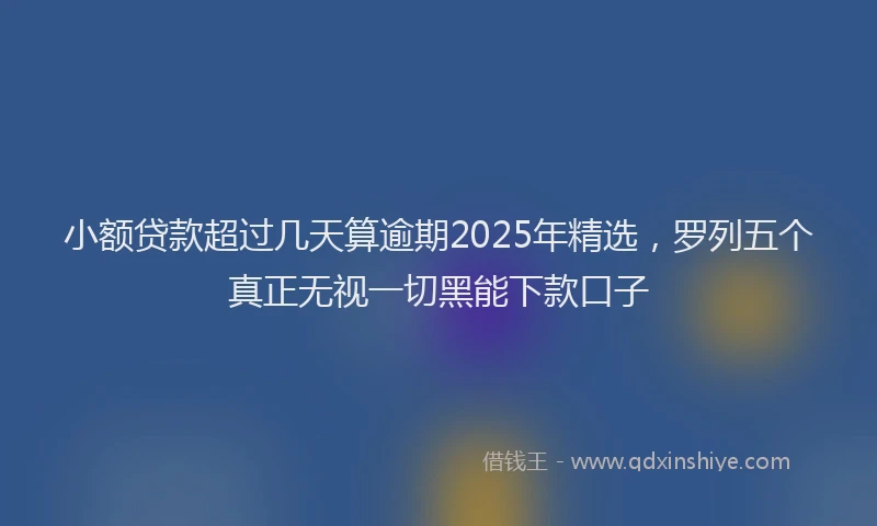 小额贷款超过几天算逾期2025年精选，罗列五个真正无视一切黑能下款口子