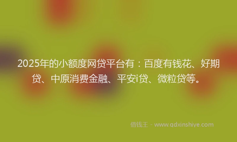 2025年的小额度网贷平台有：百度有钱花、好期贷、中原消费金融、平安i贷、微粒贷等。