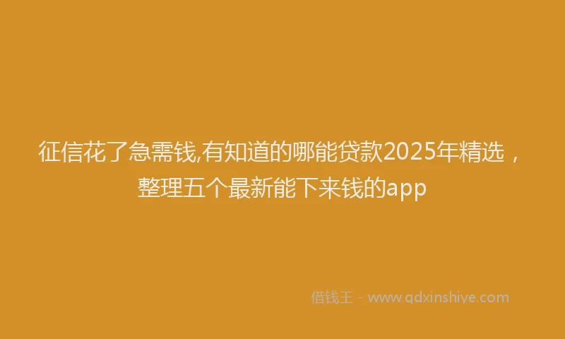 征信花了急需钱,有知道的哪能贷款2025年精选，整理五个最新能下来钱的app