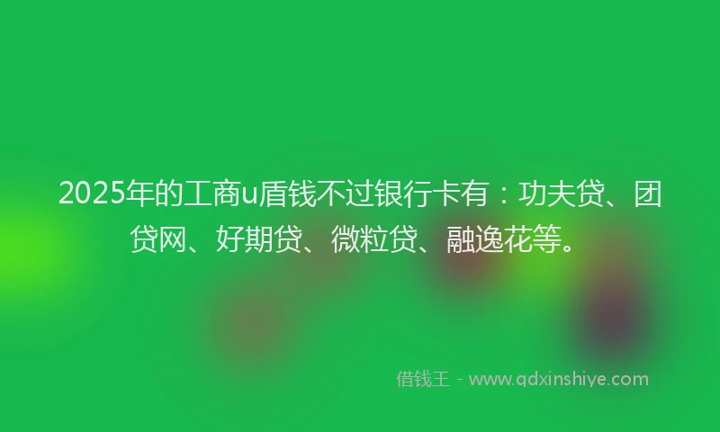 2025年的工商u盾钱不过银行卡有：功夫贷、团贷网、好期贷、微粒贷、融逸花等。