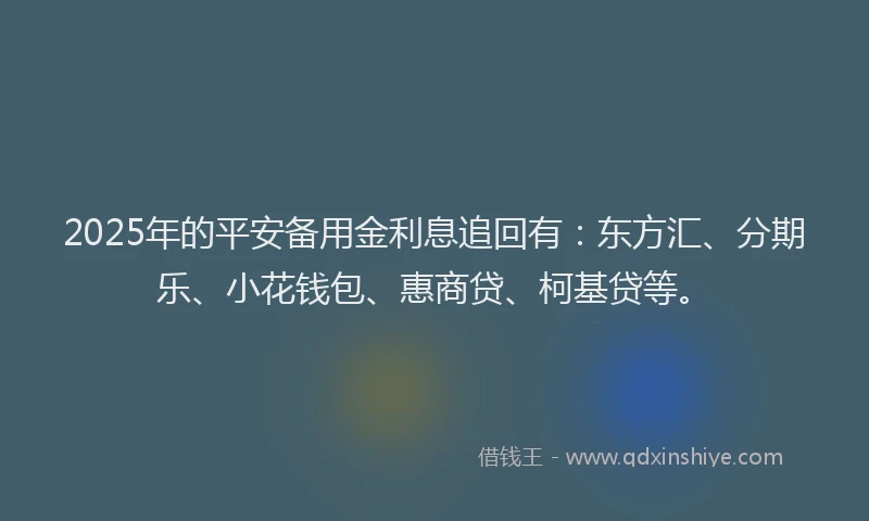 2025年的平安备用金利息追回有：东方汇、分期乐、小花钱包、惠商贷、柯基贷等。