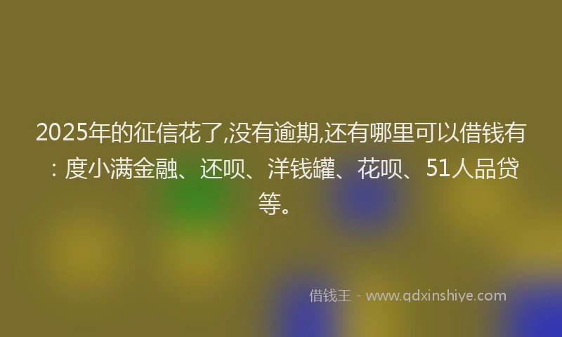 2025年的征信花了,没有逾期,还有哪里可以借钱有：度小满金融、还呗、洋钱罐、花呗、51人品贷等。