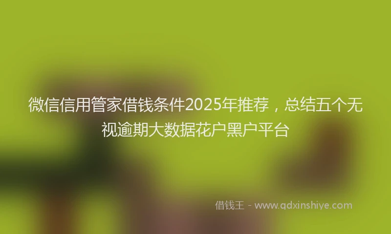 微信信用管家借钱条件2025年推荐，总结五个无视逾期大数据花户黑户平台