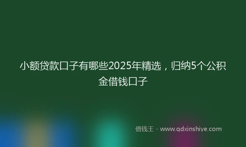 小额贷款口子有哪些2025年精选，归纳5个公积金借钱口子