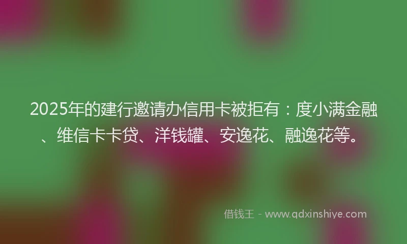 2025年的建行邀请办信用卡被拒有：度小满金融、维信卡卡贷、洋钱罐、安逸花、融逸花等。