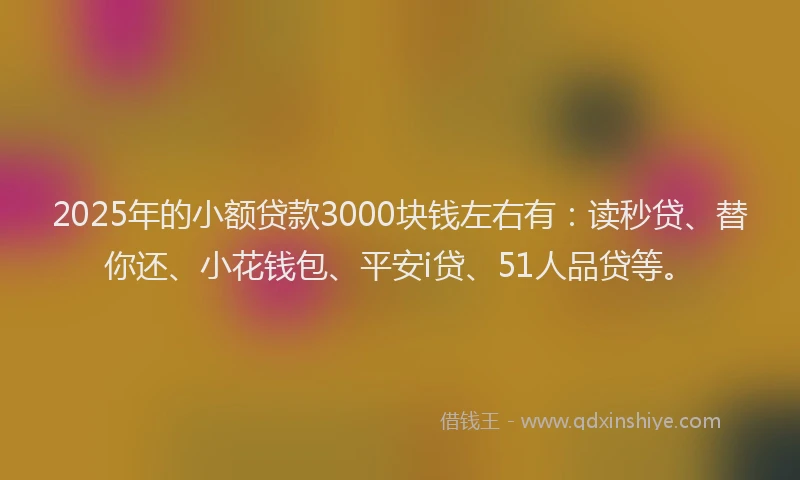 2025年的小额贷款3000块钱左右有：读秒贷、替你还、小花钱包、平安i贷、51人品贷等。