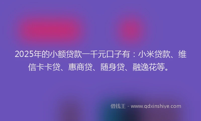 2025年的小额贷款一千元口子有：小米贷款、维信卡卡贷、惠商贷、随身贷、融逸花等。
