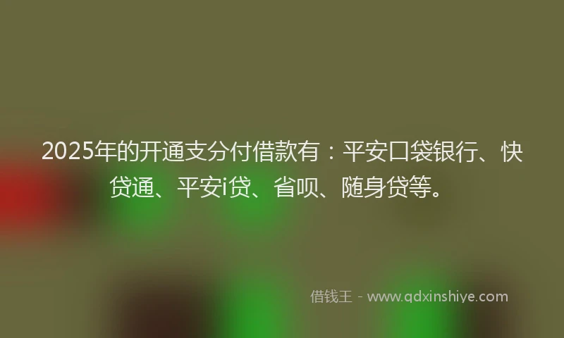 2025年的开通支分付借款有：平安口袋银行、快贷通、平安i贷、省呗、随身贷等。