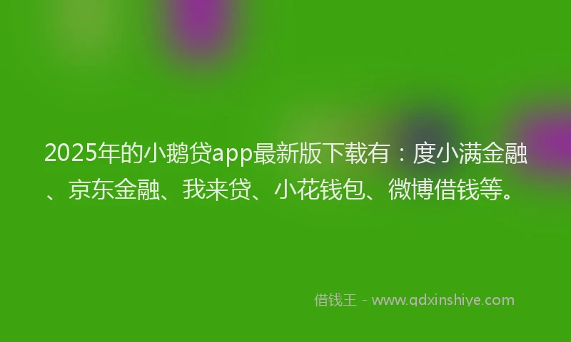 2025年的小鹅贷app最新版下载有：度小满金融、京东金融、我来贷、小花钱包、微博借钱等。