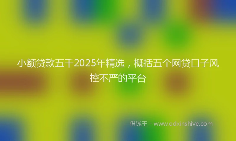 小额贷款五千2025年精选，概括五个网贷口子风控不严的平台