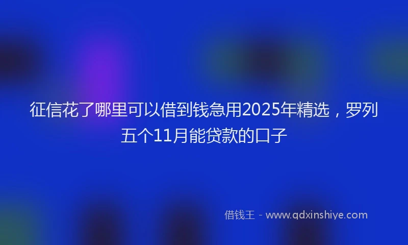 征信花了哪里可以借到钱急用2025年精选，罗列五个11月能贷款的口子