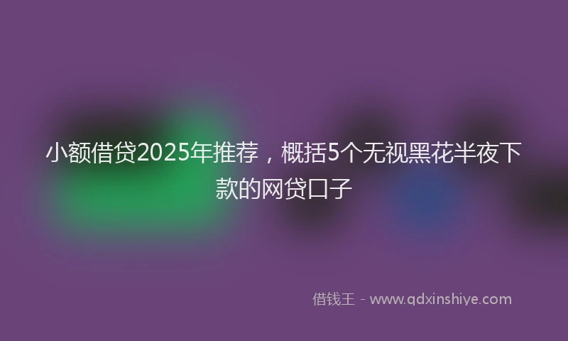小额借贷2025年推荐，概括5个无视黑花半夜下款的网贷口子