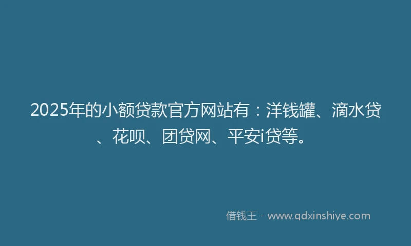2025年的小额贷款官方网站有：洋钱罐、滴水贷、花呗、团贷网、平安i贷等。