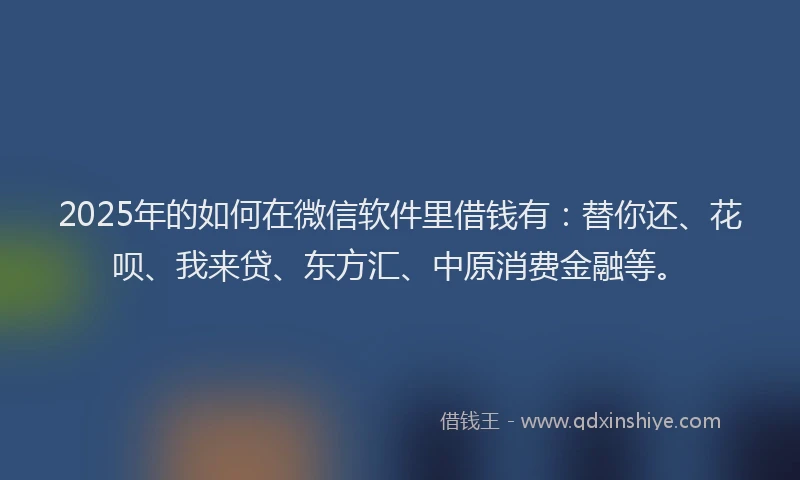 2025年的如何在微信软件里借钱有：替你还、花呗、我来贷、东方汇、中原消费金融等。