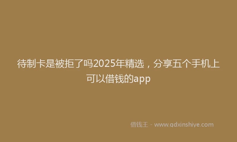 待制卡是被拒了吗2025年精选，分享五个手机上可以借钱的app