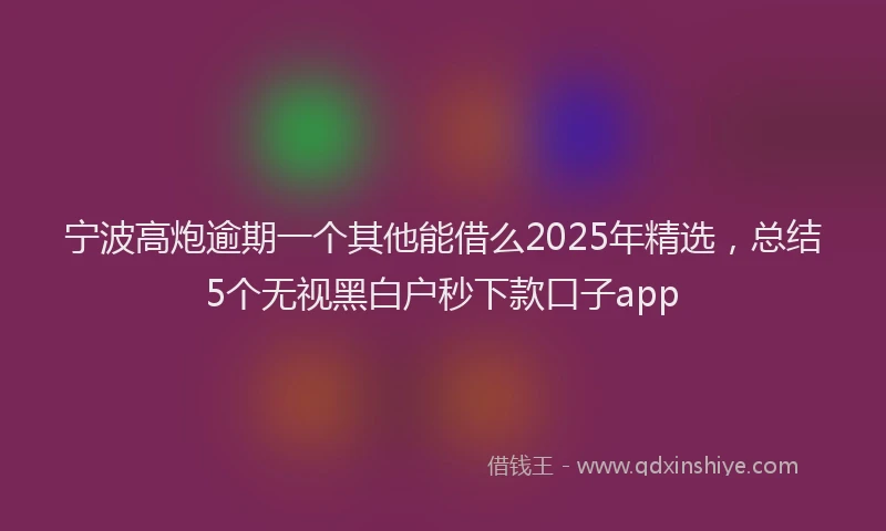 宁波高炮逾期一个其他能借么2025年精选，总结5个无视黑白户秒下款口子app