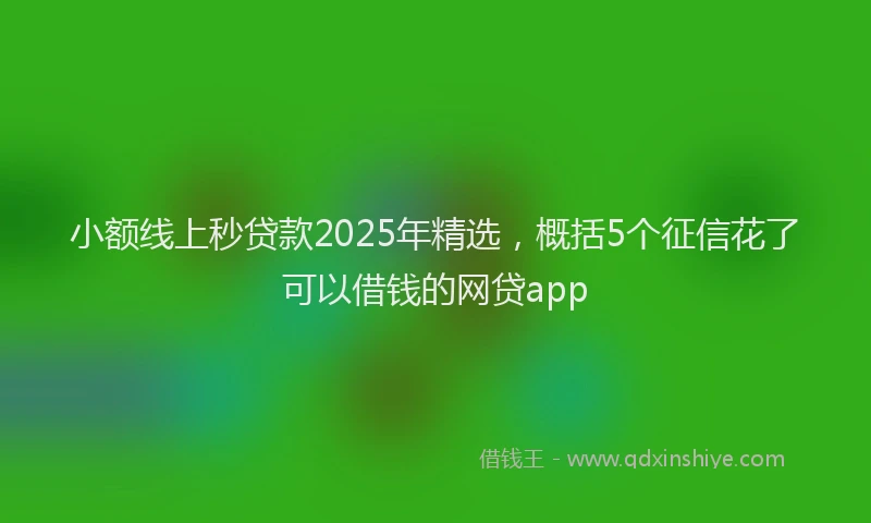 小额线上秒贷款2025年精选，概括5个征信花了可以借钱的网贷app