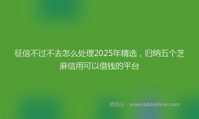 征信不过不去怎么处理2025年精选，归纳五个芝麻信用可以借钱的平台