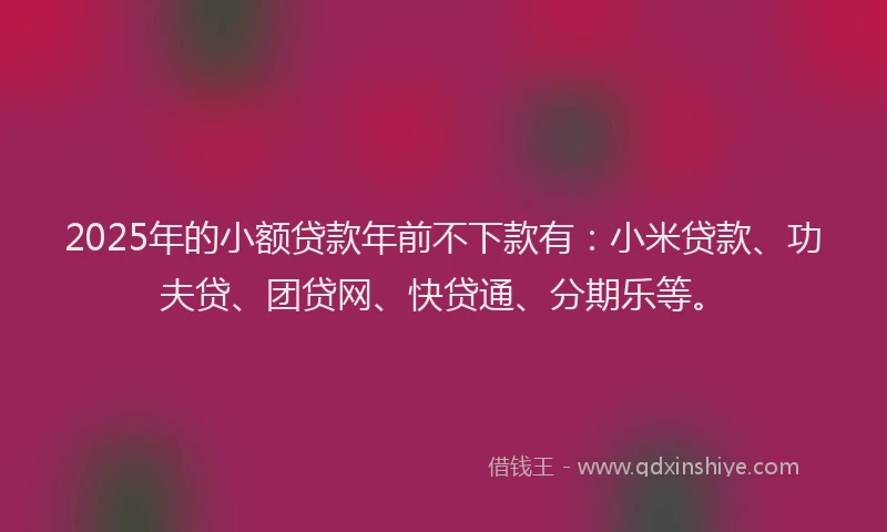 2025年的小额贷款年前不下款有：小米贷款、功夫贷、团贷网、快贷通、分期乐等。