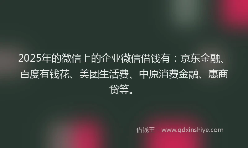 2025年的微信上的企业微信借钱有：京东金融、百度有钱花、美团生活费、中原消费金融、惠商贷等。
