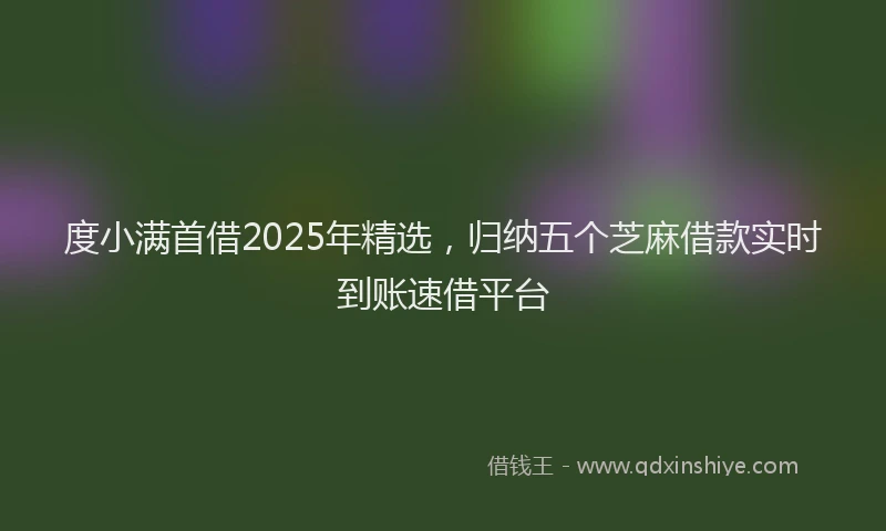度小满首借2025年精选，归纳五个芝麻借款实时到账速借平台