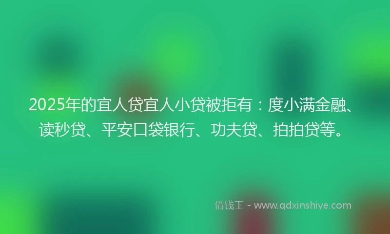 2025年的宜人贷宜人小贷被拒有：度小满金融、读秒贷、平安口袋银行、功夫贷、拍拍贷等。