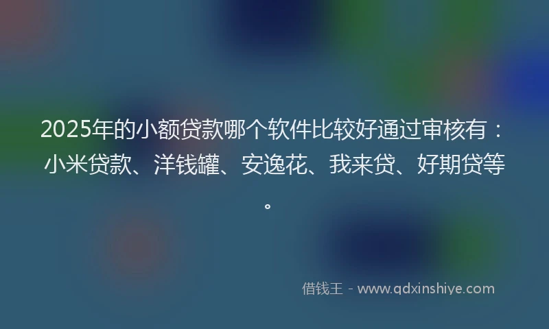 2025年的小额贷款哪个软件比较好通过审核有：小米贷款、洋钱罐、安逸花、我来贷、好期贷等。