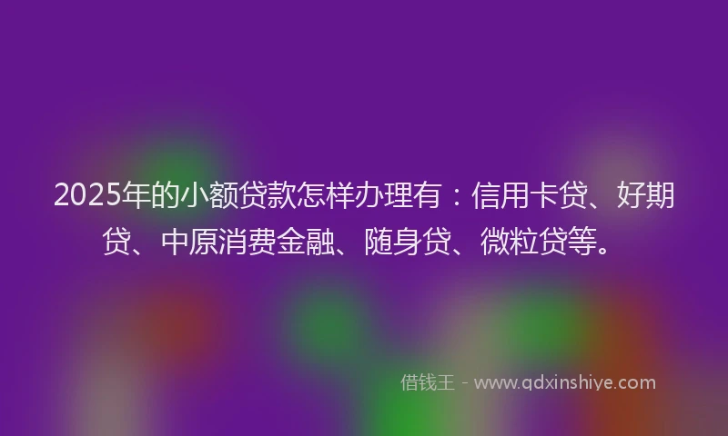 2025年的小额贷款怎样办理有：信用卡贷、好期贷、中原消费金融、随身贷、微粒贷等。