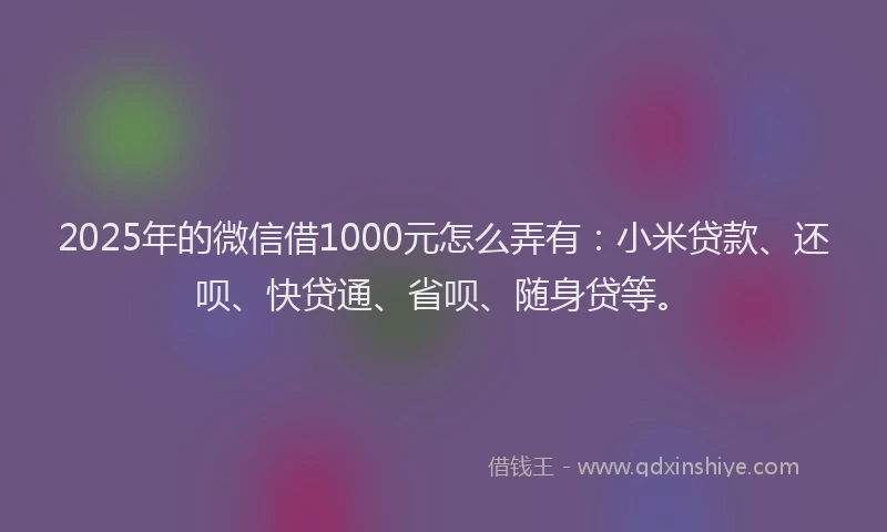 2025年的微信借1000元怎么弄有：小米贷款、还呗、快贷通、省呗、随身贷等。