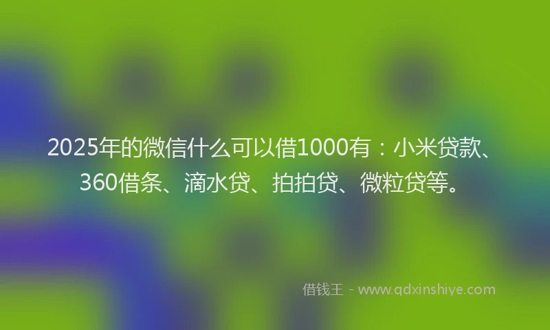 2025年的微信什么可以借1000有：小米贷款、360借条、滴水贷、拍拍贷、微粒贷等。