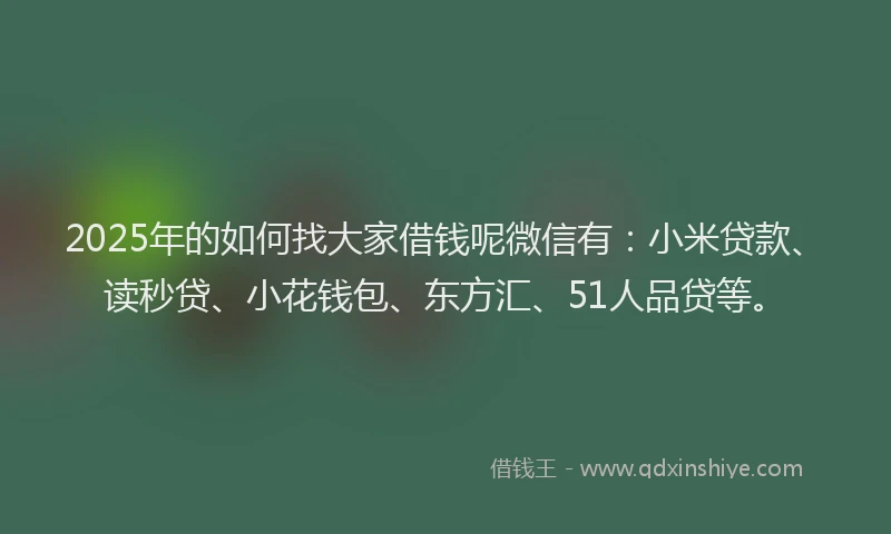 2025年的如何找大家借钱呢微信有：小米贷款、读秒贷、小花钱包、东方汇、51人品贷等。