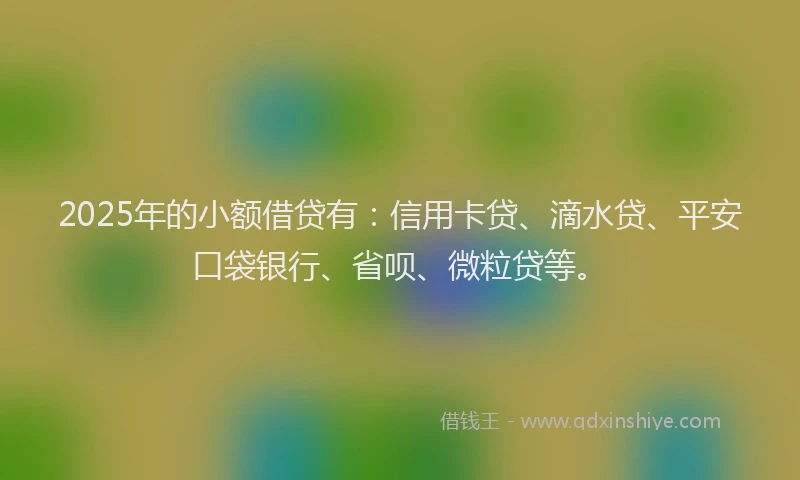 2025年的小额借贷有：信用卡贷、滴水贷、平安口袋银行、省呗、微粒贷等。