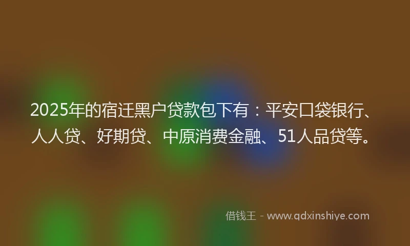 2025年的宿迁黑户贷款包下有：平安口袋银行、人人贷、好期贷、中原消费金融、51人品贷等。