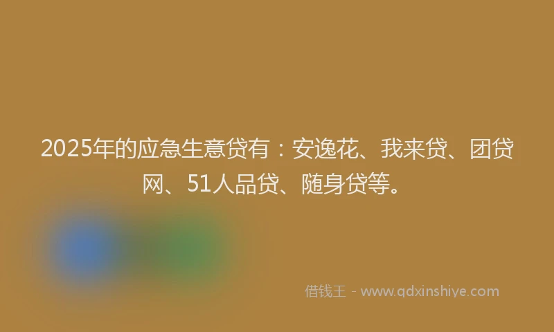 2025年的应急生意贷有：安逸花、我来贷、团贷网、51人品贷、随身贷等。