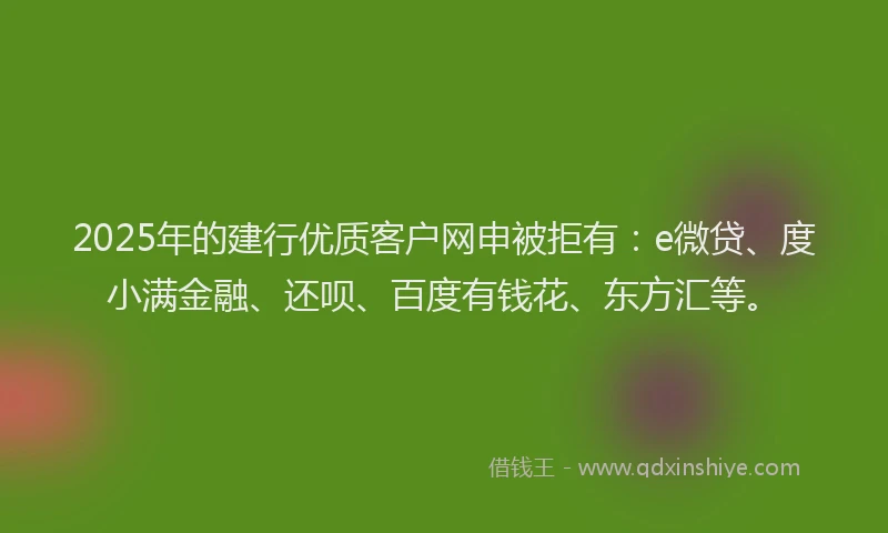 2025年的建行优质客户网申被拒有：e微贷、度小满金融、还呗、百度有钱花、东方汇等。