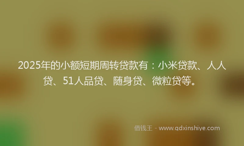 2025年的小额短期周转贷款有：小米贷款、人人贷、51人品贷、随身贷、微粒贷等。