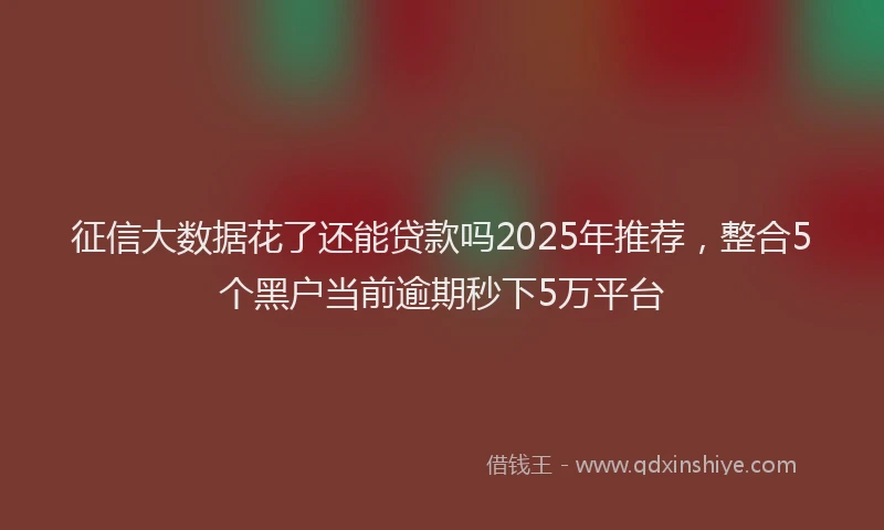 征信大数据花了还能贷款吗2025年推荐，整合5个黑户当前逾期秒下5万平台