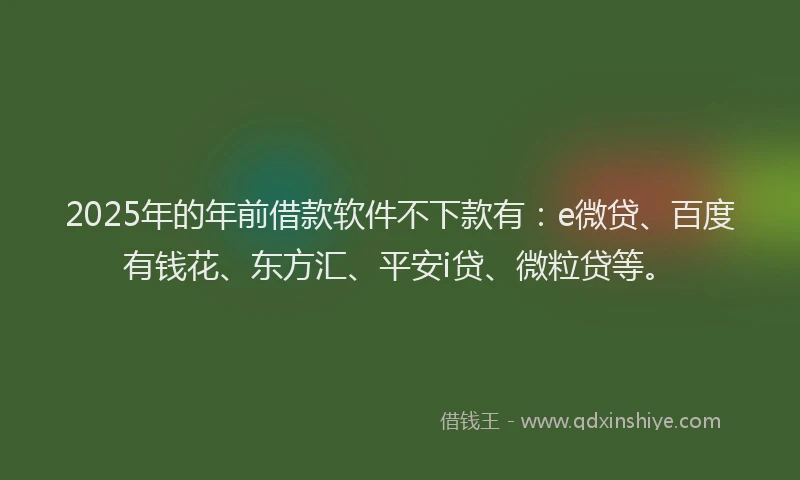 2025年的年前借款软件不下款有：e微贷、百度有钱花、东方汇、平安i贷、微粒贷等。