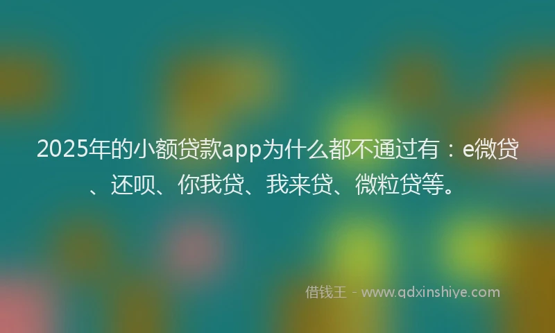 2025年的小额贷款app为什么都不通过有：e微贷、还呗、你我贷、我来贷、微粒贷等。