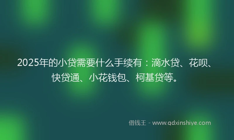 2025年的小贷需要什么手续有：滴水贷、花呗、快贷通、小花钱包、柯基贷等。
