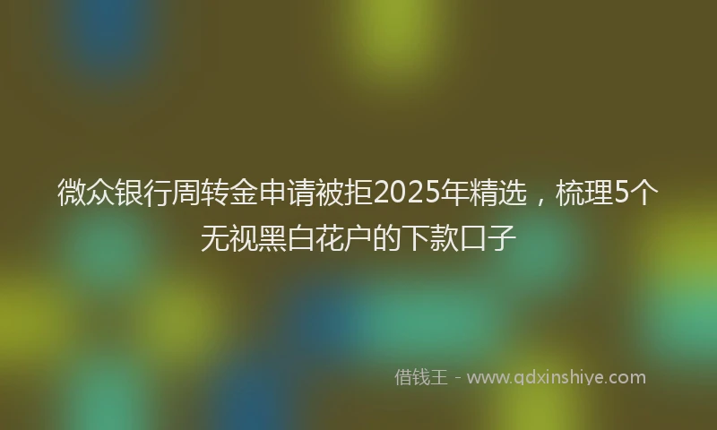 微众银行周转金申请被拒2025年精选，梳理5个无视黑白花户的下款口子
