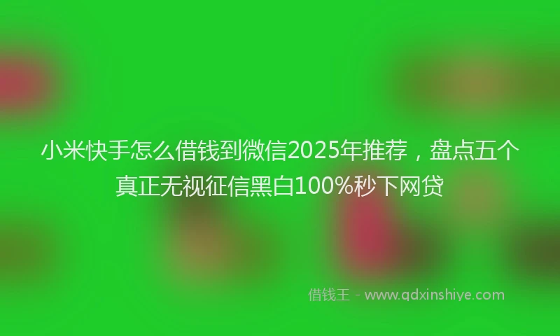 小米快手怎么借钱到微信2025年推荐，盘点五个真正无视征信黑白100%秒下网贷