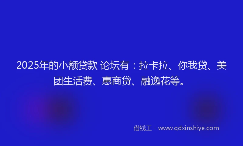 2025年的小额贷款 论坛有：拉卡拉、你我贷、美团生活费、惠商贷、融逸花等。
